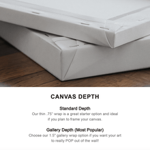 Load image into Gallery viewer, Color Lips Bundle