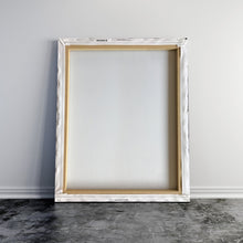 Load image into Gallery viewer, Safe Money
